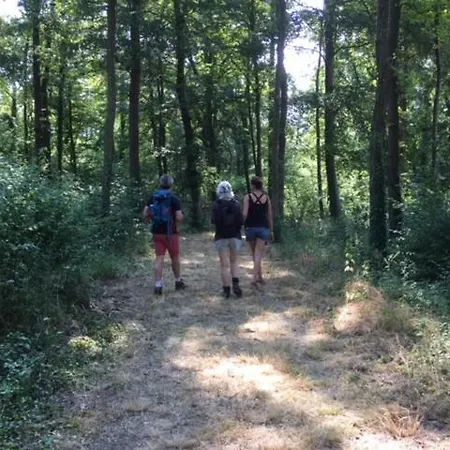 Brainoise 2 Apartment Braine