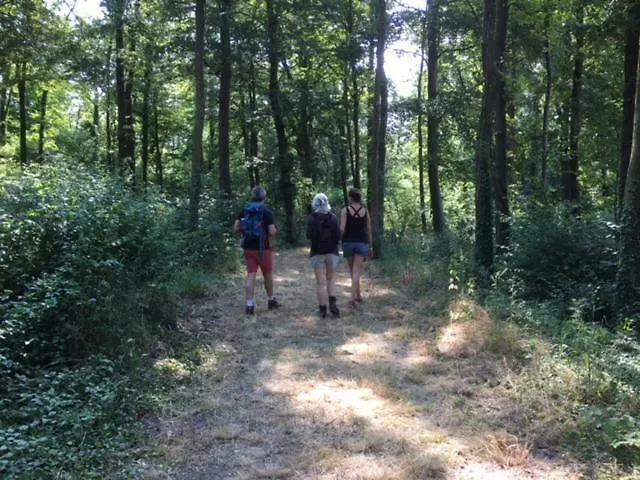 Brainoise 2 Appartamento Braine